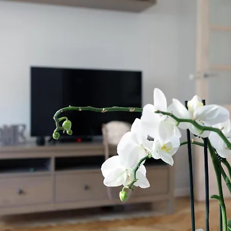 Apartament Turkus Szczecin Exterior photo