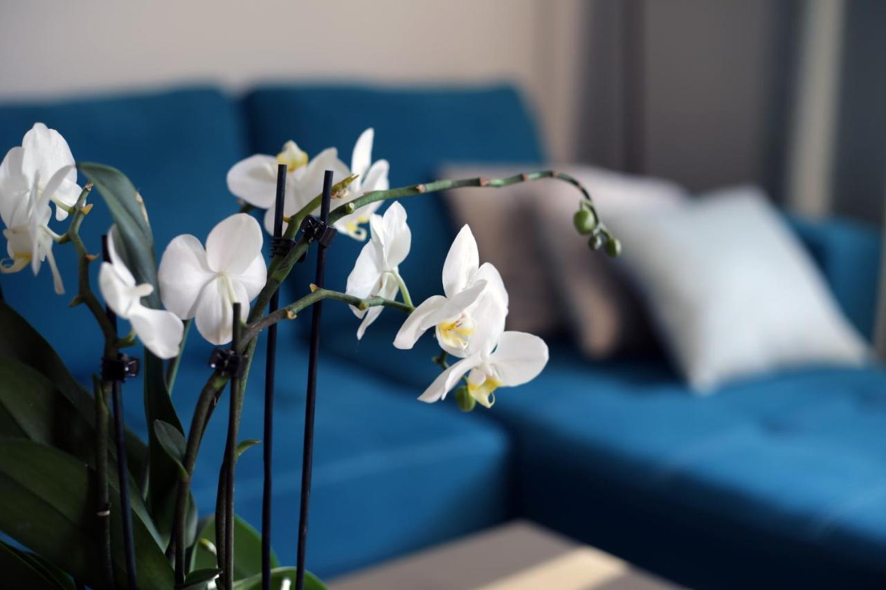 Apartment Turkus Szczecin